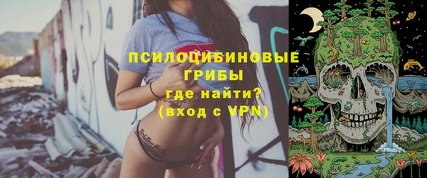 индика Аксай