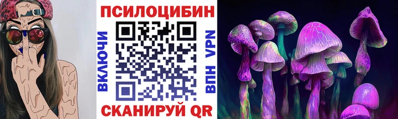 Псилоцибиновые грибы Magic Shrooms  Купить  Звенигово 
